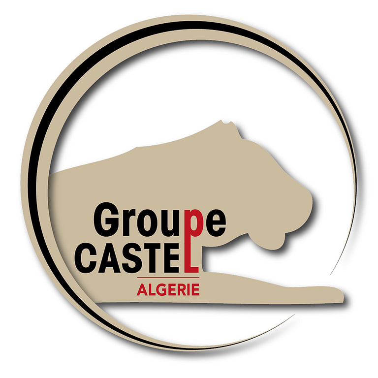 groupe castel