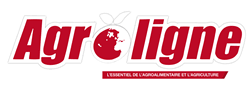 téléchargement